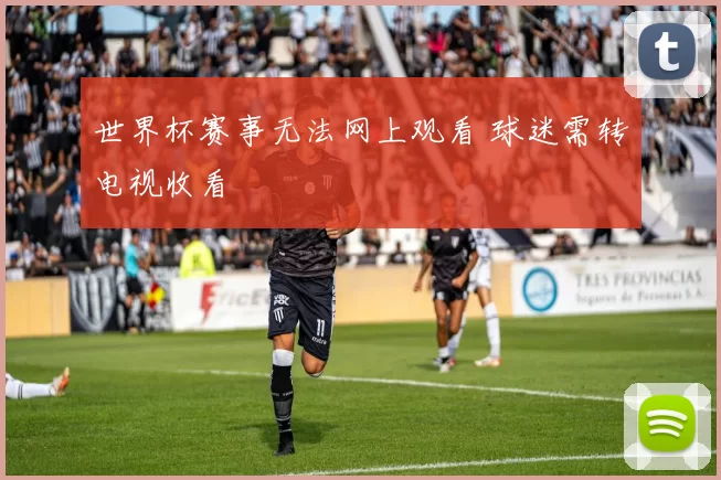 世界杯赛事无法网上观看 球迷需转电视收看
