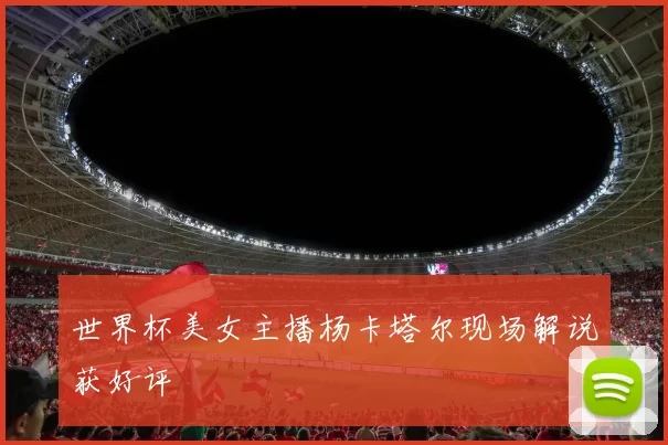 世界杯美女主播杨卡塔尔现场解说获好评