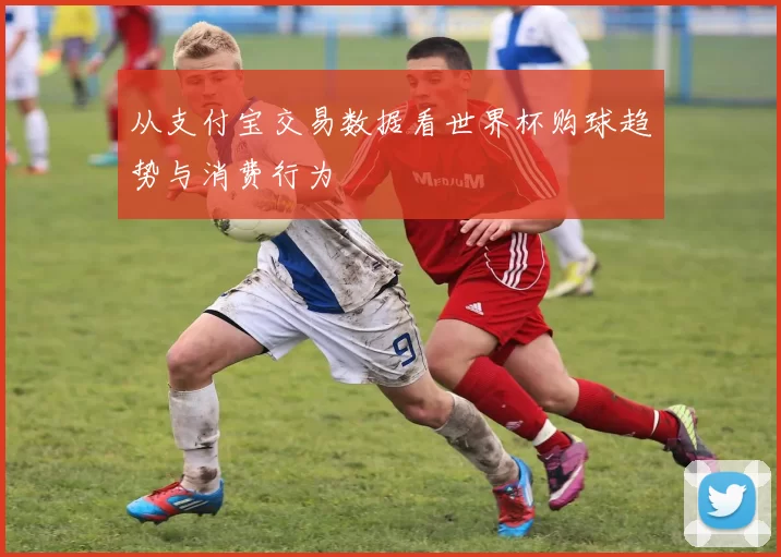 从支付宝交易数据看世界杯购球趋势与消费行为