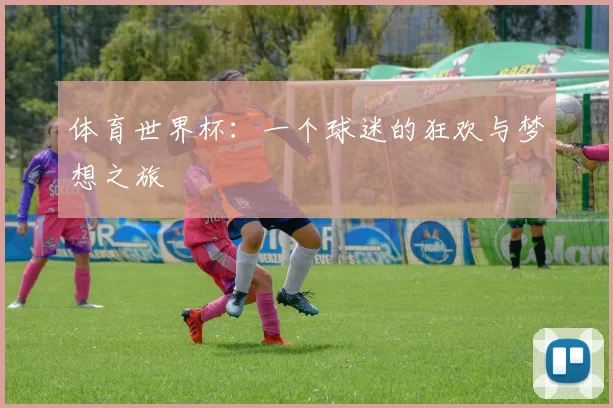 体育世界杯:一个球迷的狂欢与梦想之旅