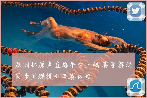 欧洲杯原声直播平台上线 赛事解说同步呈现提升观赛体验