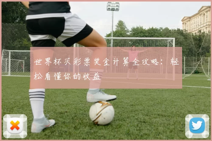 世界杯买彩票奖金计算全攻略:轻松看懂你的收益