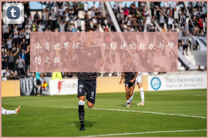 体育世界杯:一个球迷的狂欢与梦想之旅