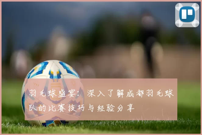 羽毛球盛宴：深入了解成都羽毛球队的比赛技巧与经验分享