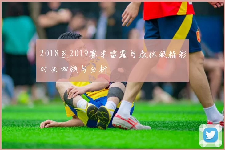 2018至2019赛季雷霆与森林狼精彩对决回顾与分析
