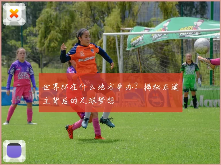 世界杯在什么地方举办?揭秘东道主背后的足球梦想