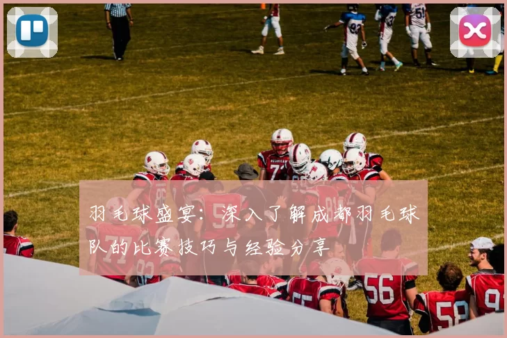 羽毛球盛宴：深入了解成都羽毛球队的比赛技巧与经验分享