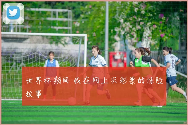 世界杯期间 我在网上买彩票的惊险故事