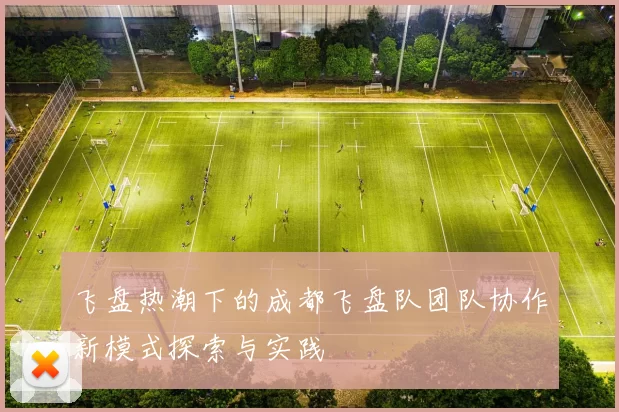 飞盘热潮下的成都飞盘队团队协作新模式探索与实践