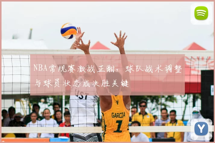 NBA常规赛激战正酣,球队战术调整与球员状态成决胜关键