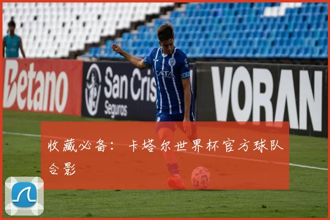 收藏必备:卡塔尔世界杯官方球队合影