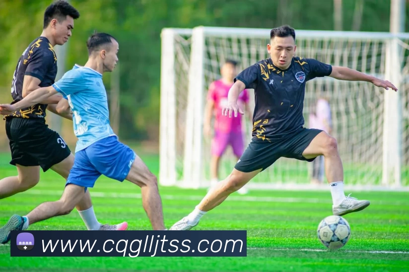 雅博appAPP 封面图