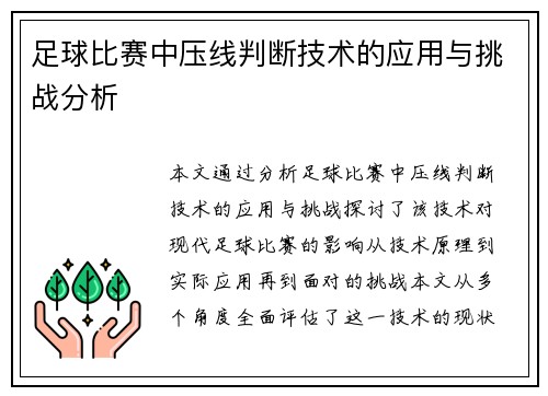 足球比赛中压线判断技术的应用与挑战分析