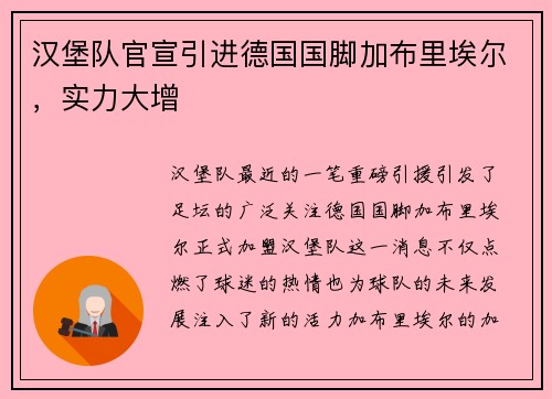 汉堡队官宣引进德国国脚加布里埃尔，实力大增