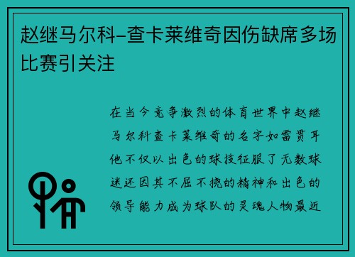 赵继马尔科-查卡莱维奇因伤缺席多场比赛引关注