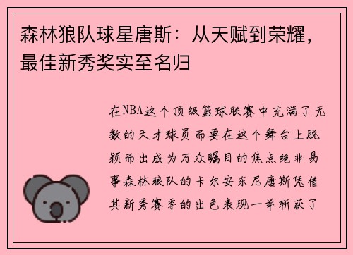 森林狼队球星唐斯:从天赋到荣耀,最佳新秀奖实至名归