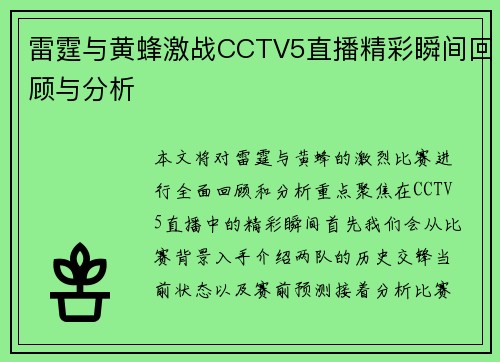雷霆与黄蜂激战CCTV5直播精彩瞬间回顾与分析
