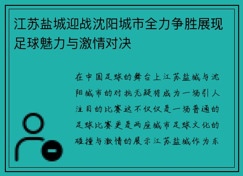 江苏盐城迎战沈阳城市全力争胜展现足球魅力与激情对决