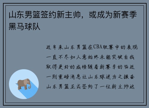 山东男篮签约新主帅，或成为新赛季黑马球队