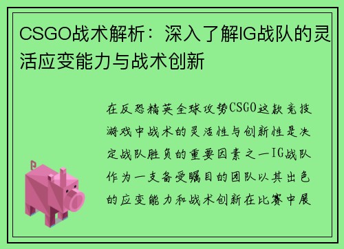 CSGO战术解析：深入了解IG战队的灵活应变能力与战术创新